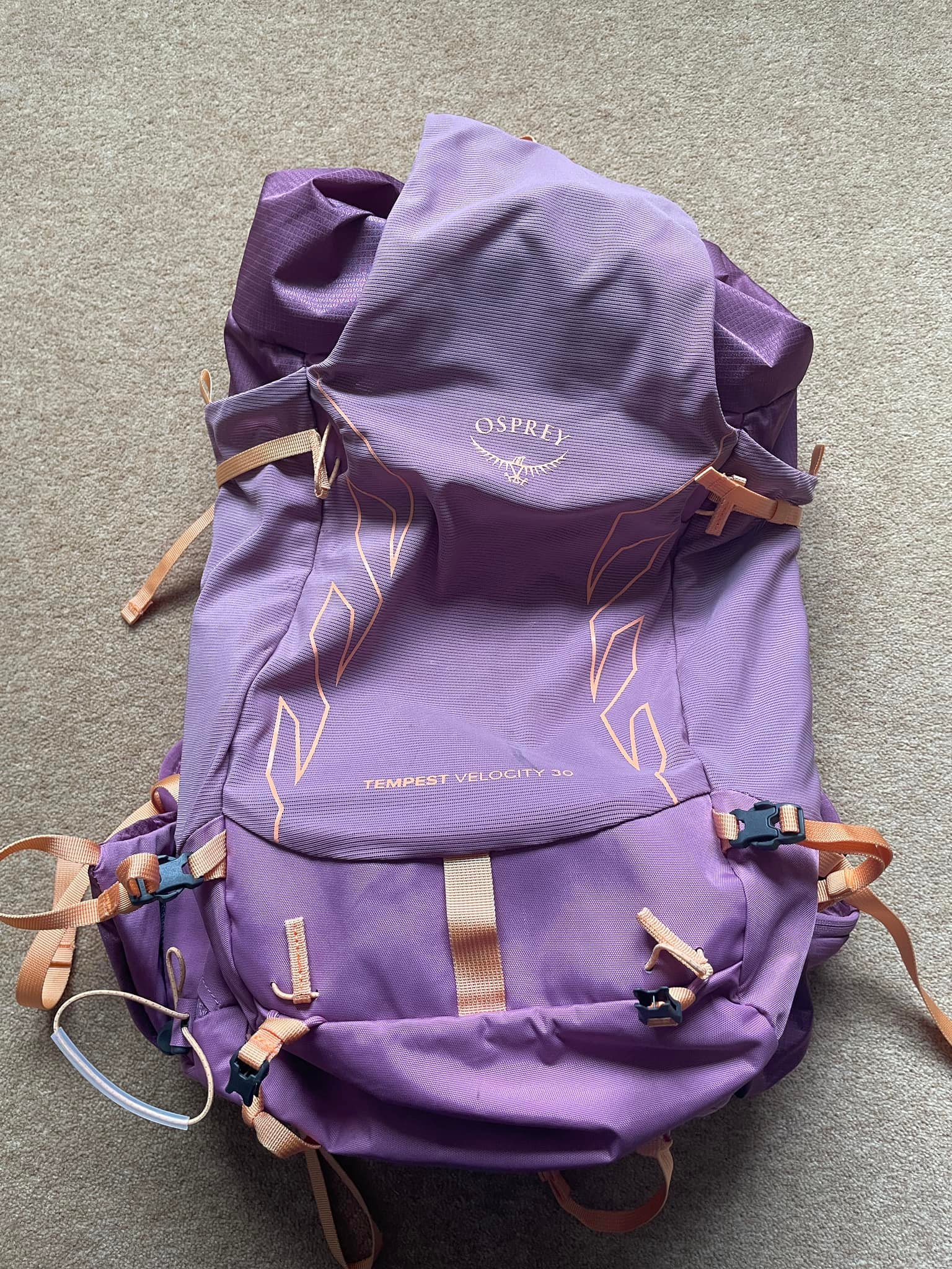 celeste osprey women backpack Tempest 33L Women's Lightweight Hiking and a blinker light attachment for added visibility Osprey quasar backpack - Gem
