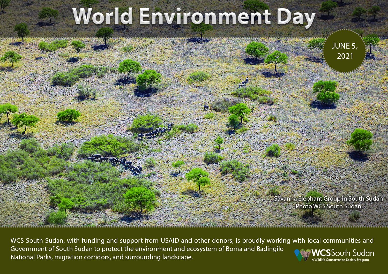 WCS SOUTH SUDAN - World Environment Day 2021 WCS Newsroom Wildlife ...