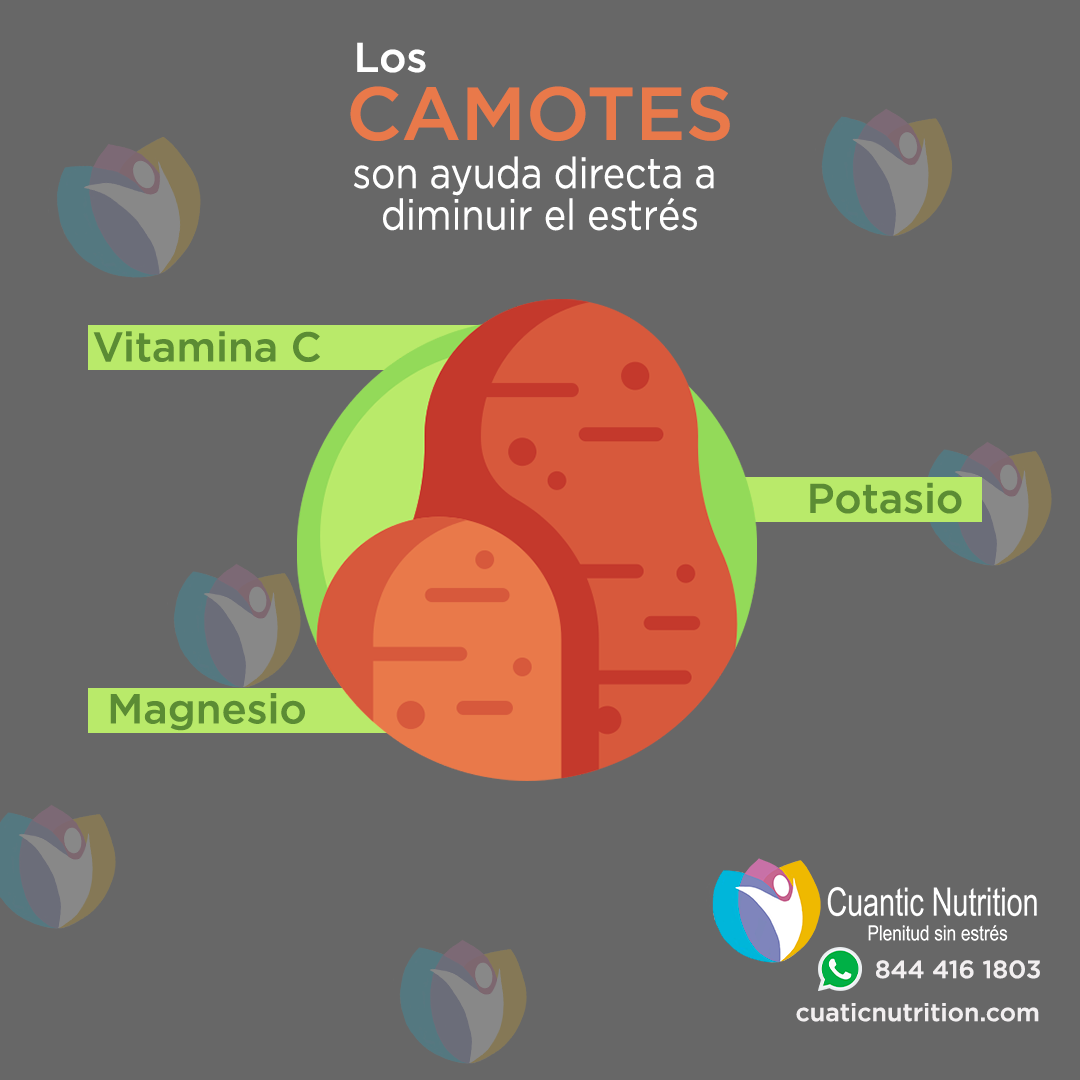Cuantic Nutrition - Descubre en nuestro blog lo que te ofrece el camote ...