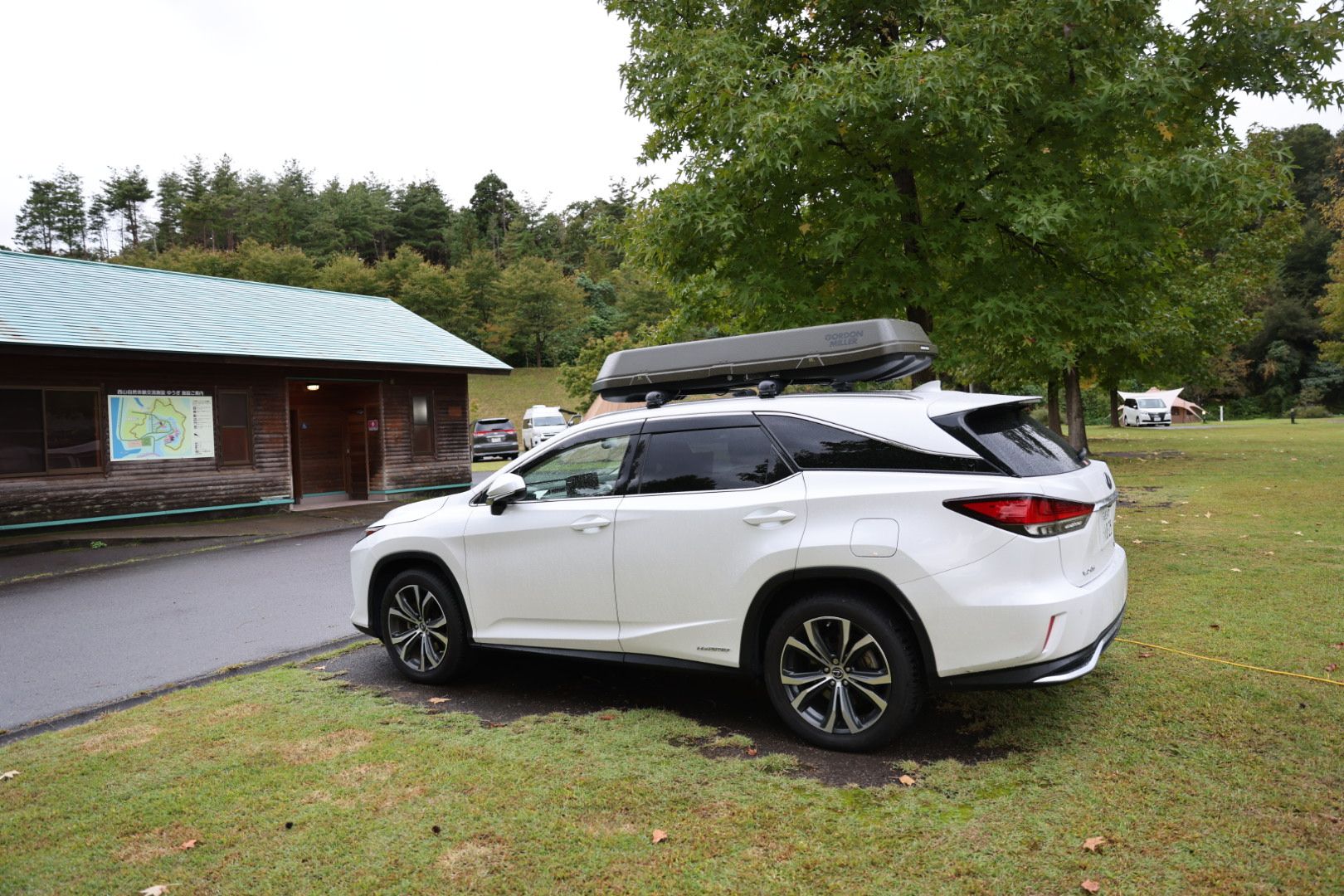 Handling growing kids in Lexus RX hybrids?