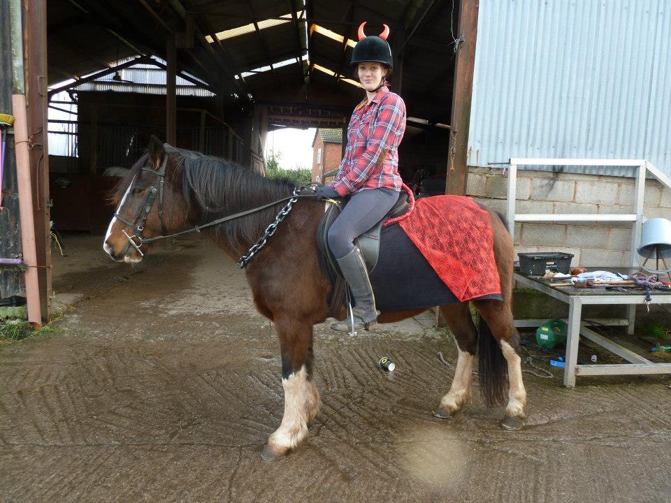 KC Riding... - KC Riding School. Supporting Kc horse rescue