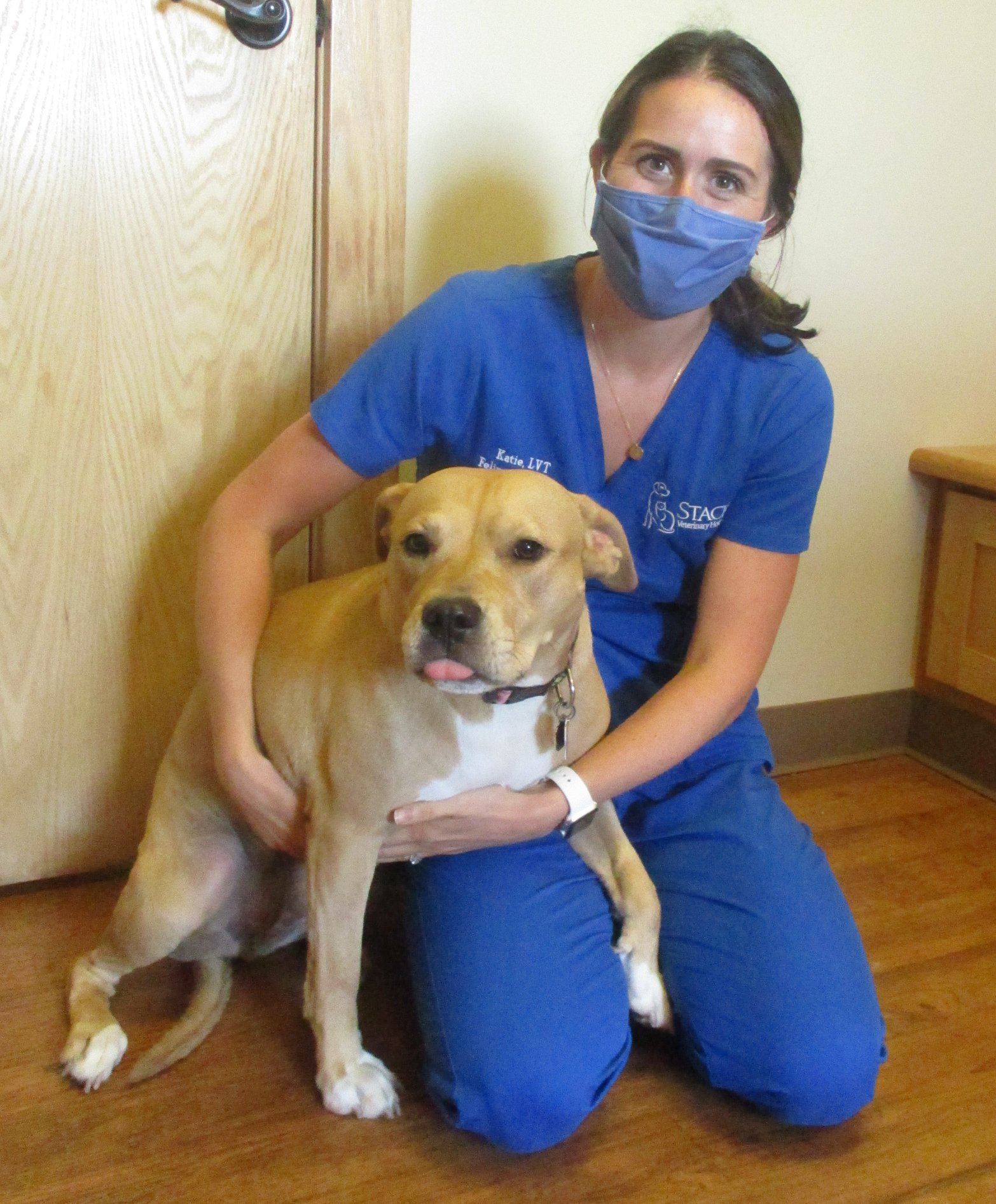 Our technician, Brooke, was... - Stack Veterinary Hospital | Facebook