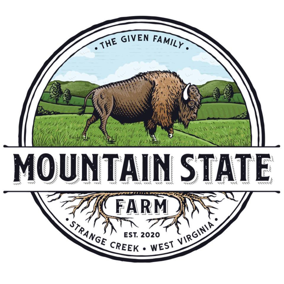 Darting 🎯 a bison 🦬 with vitamins 💊 We needed to dart this bison with ...