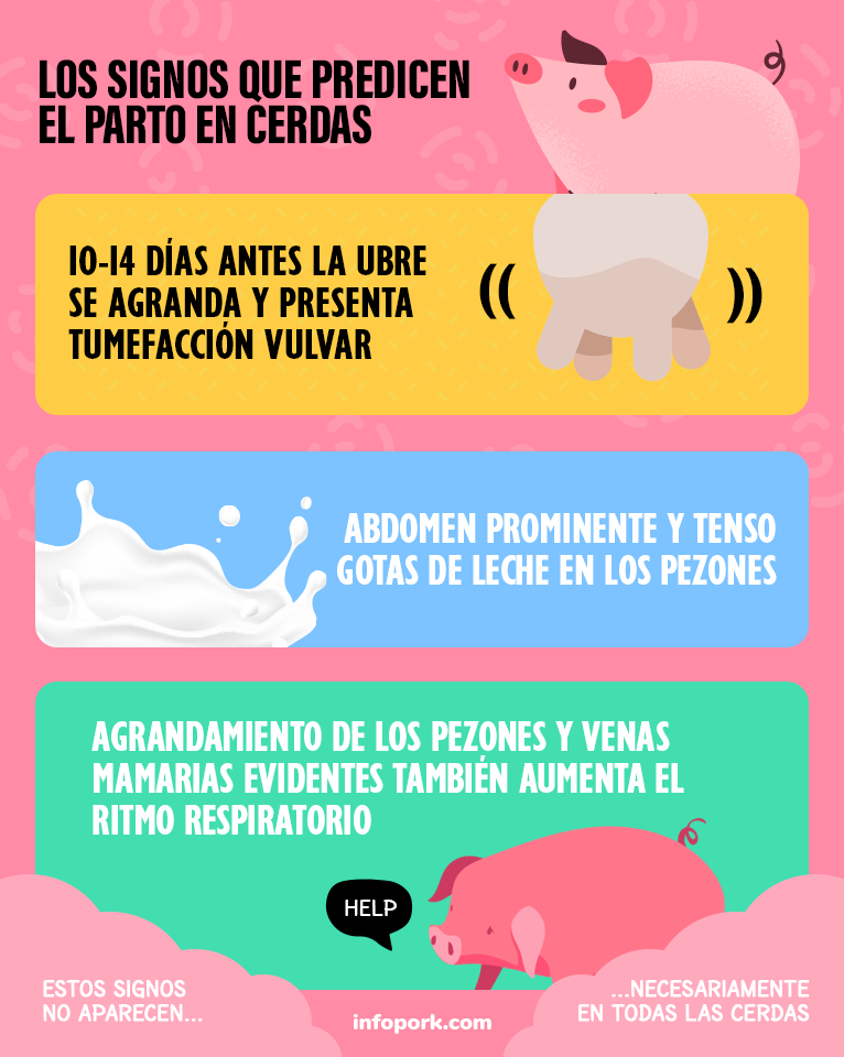 Productos Api-Aba