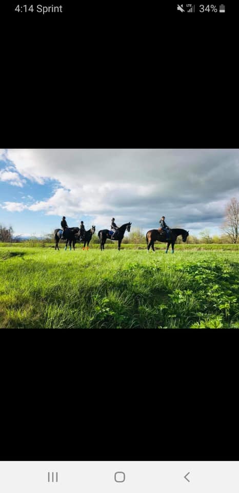 River Rock Ranch added a new photo. - River Rock Ranch