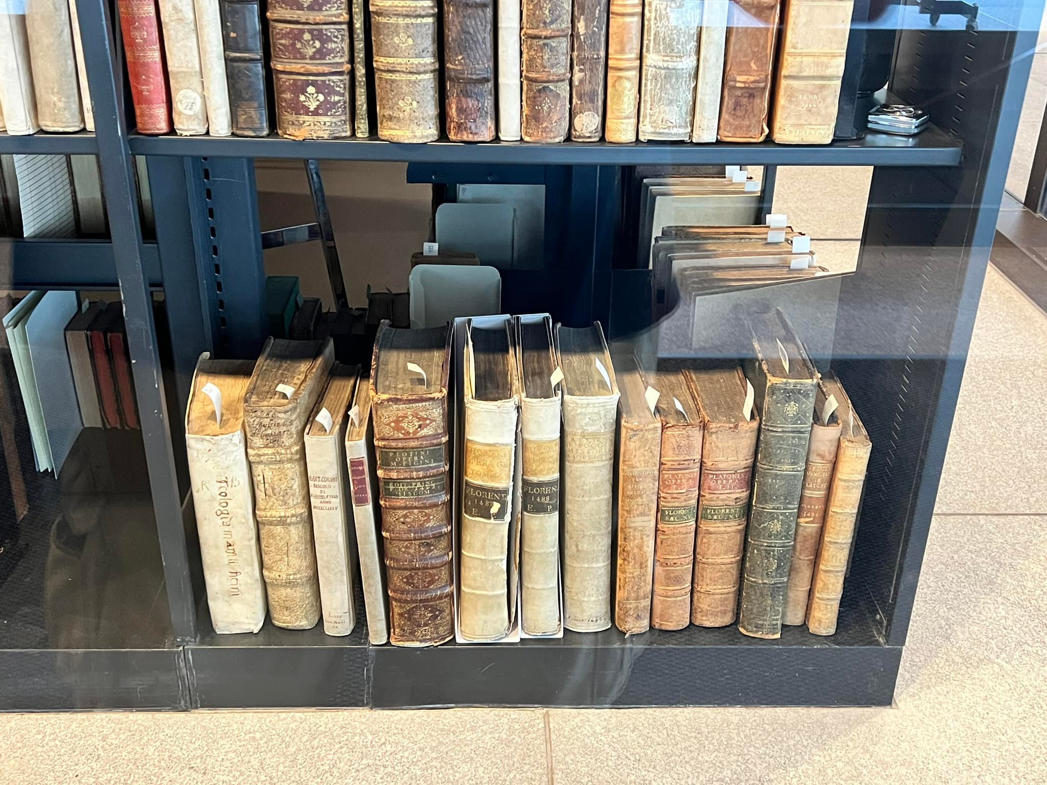 Perditus Manuscripts
