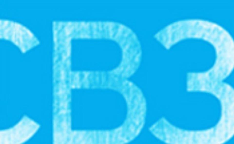 CB3 Marketing | Haymarket NSW