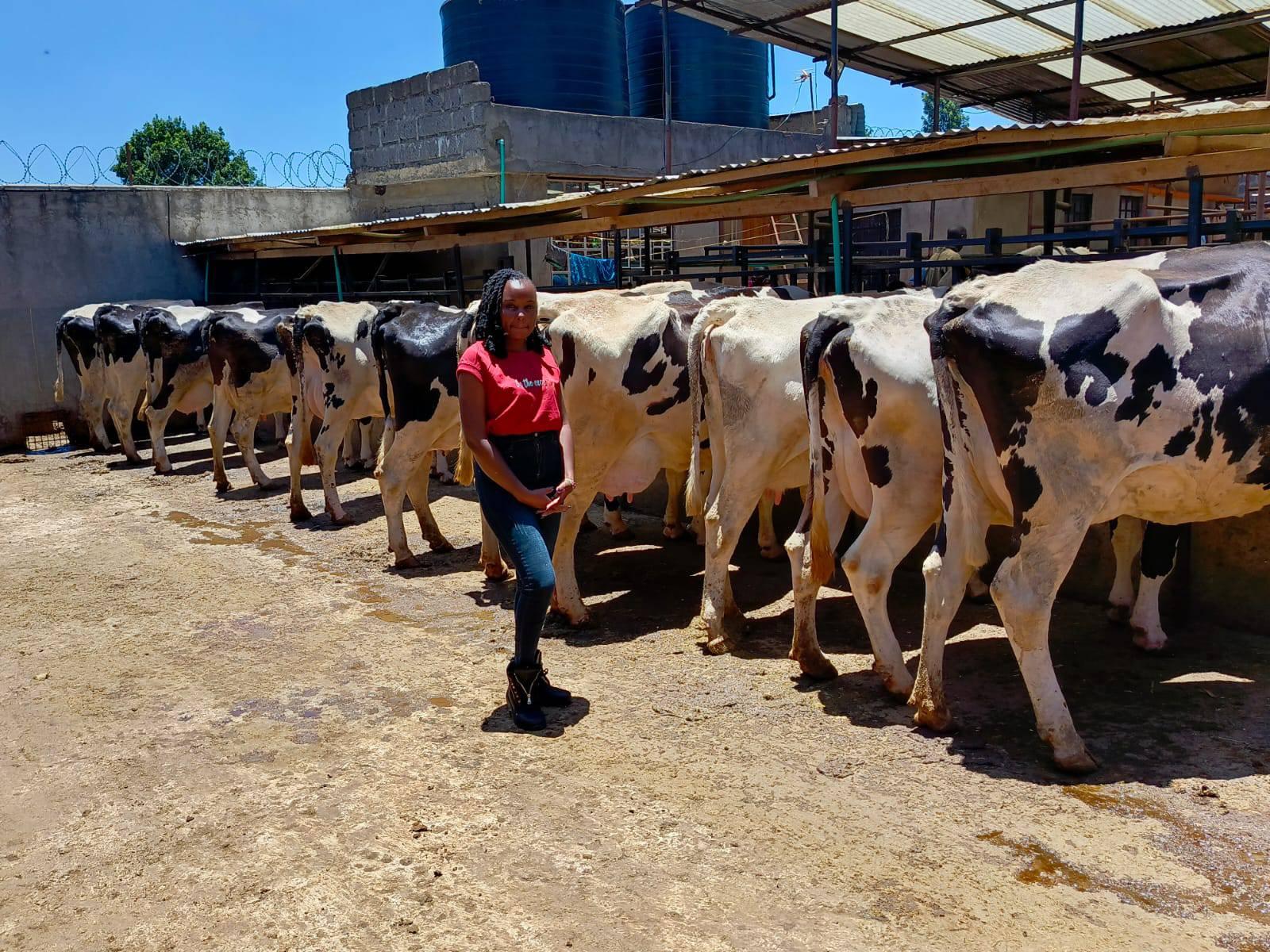 Dairyverse - You can still Restore® Her! | Facebook