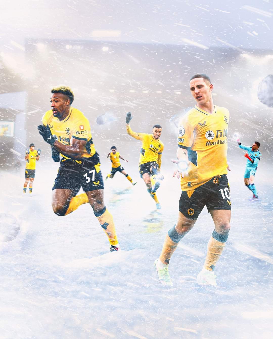 Wolves PL