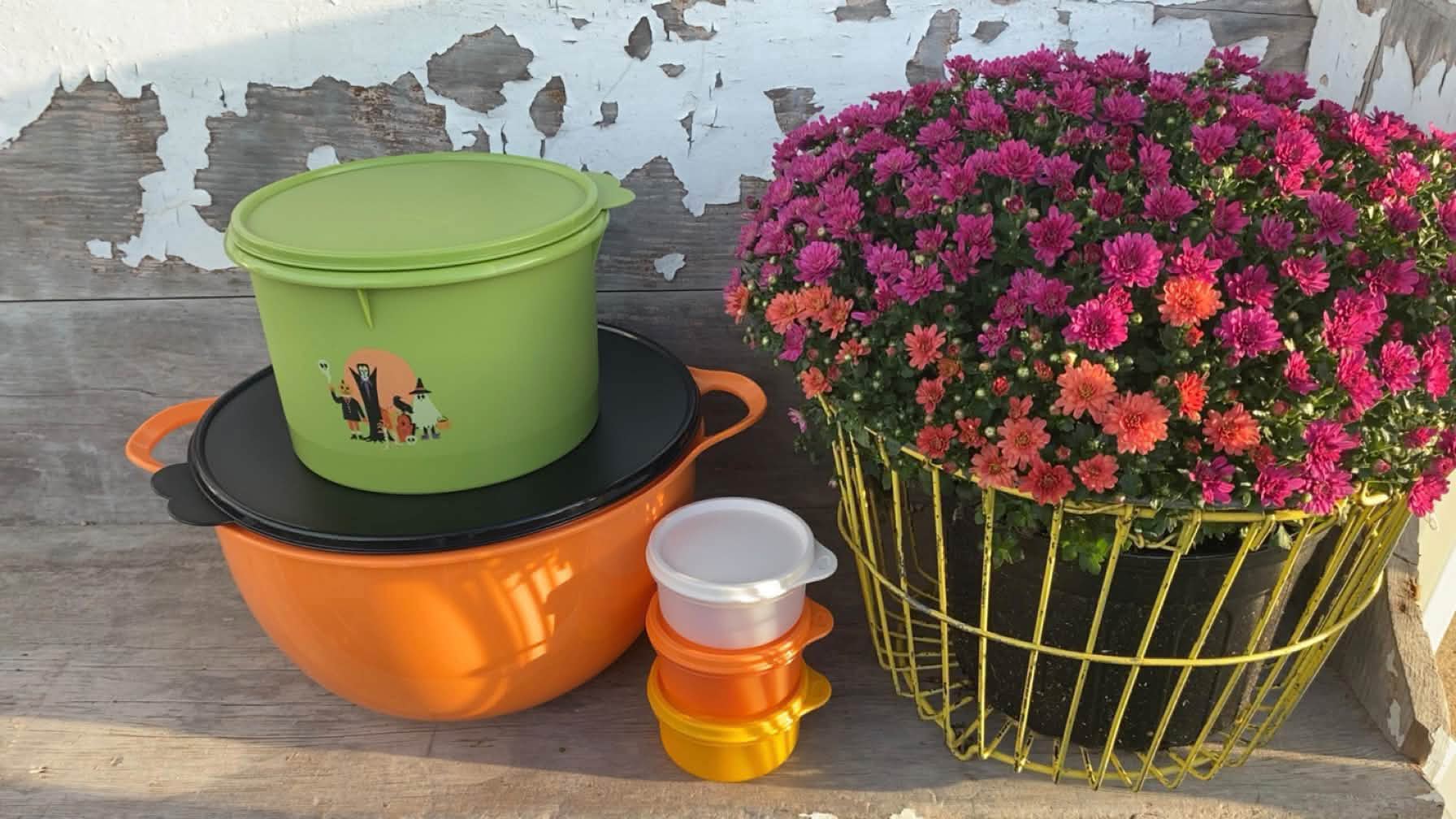Halloween Tupperware collection available now from Wendy's TW