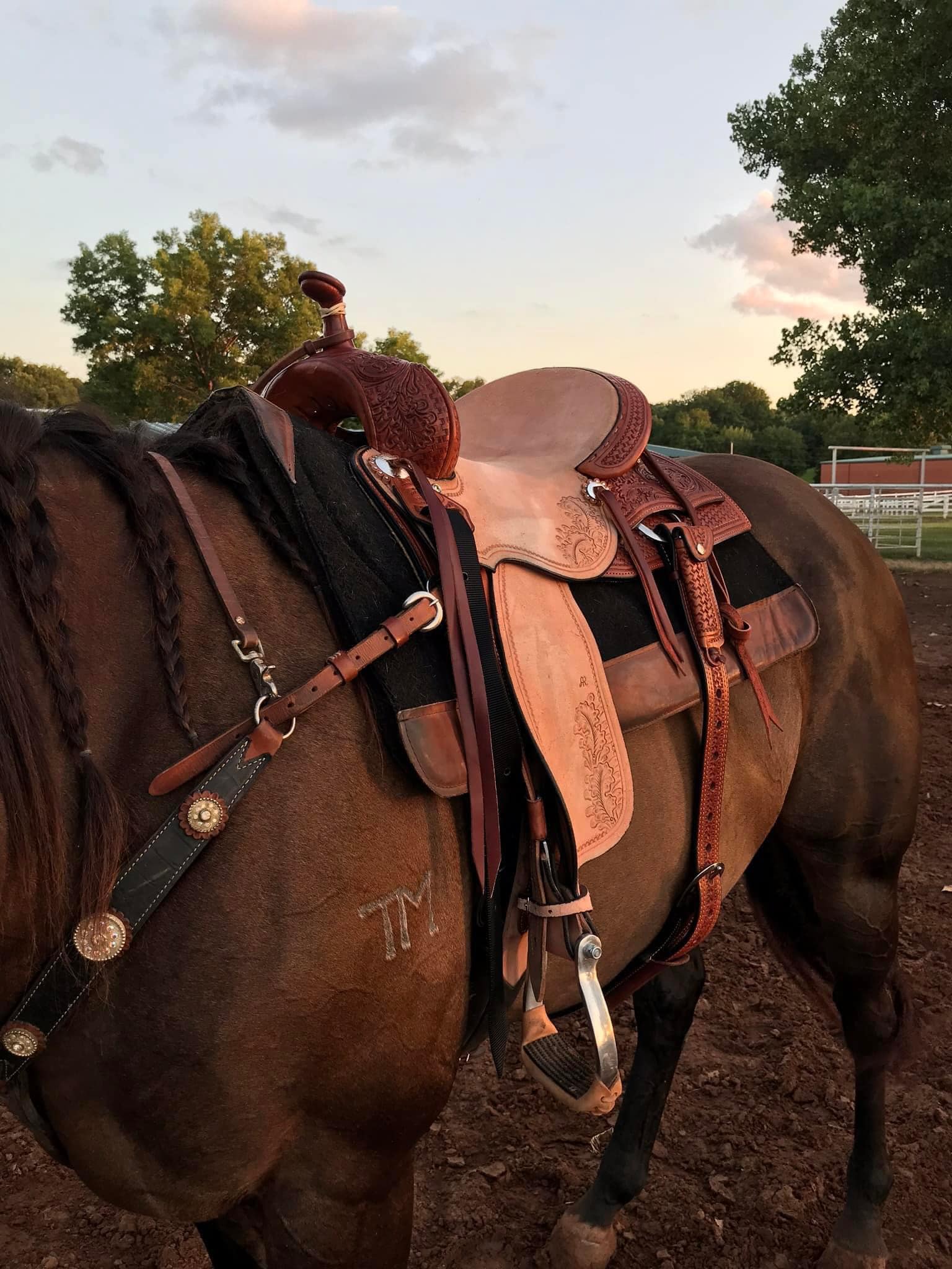 TM Productions - Allen Ranch Cutter Cross Custom, 14in...