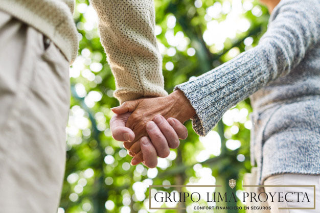 Grupo Lima Proyecta