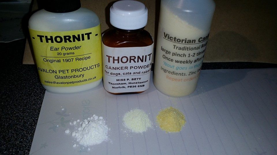 How To Use Canker Powder In Dogs Ears
