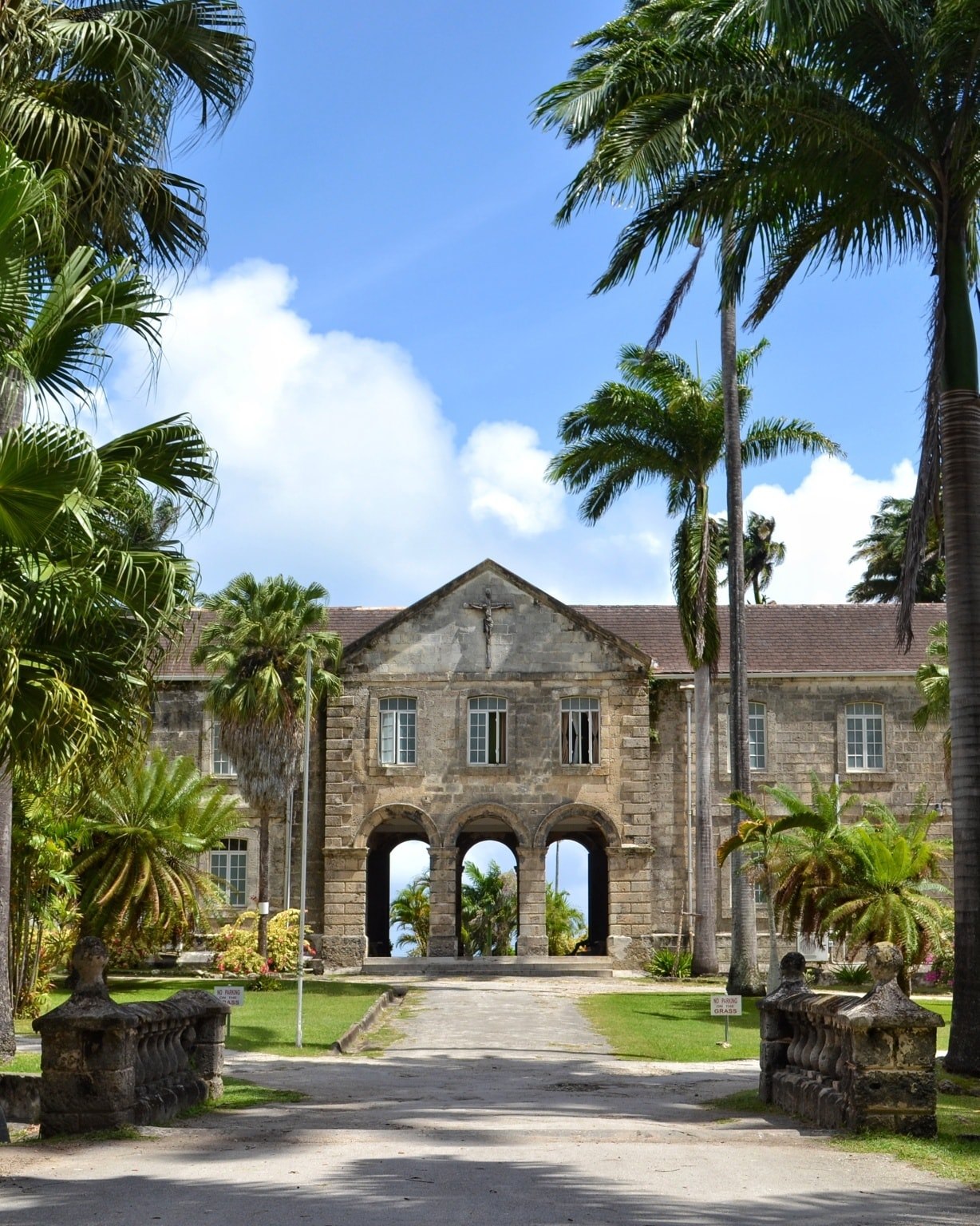Visit Barbados - A long driveway outlined by tall,...