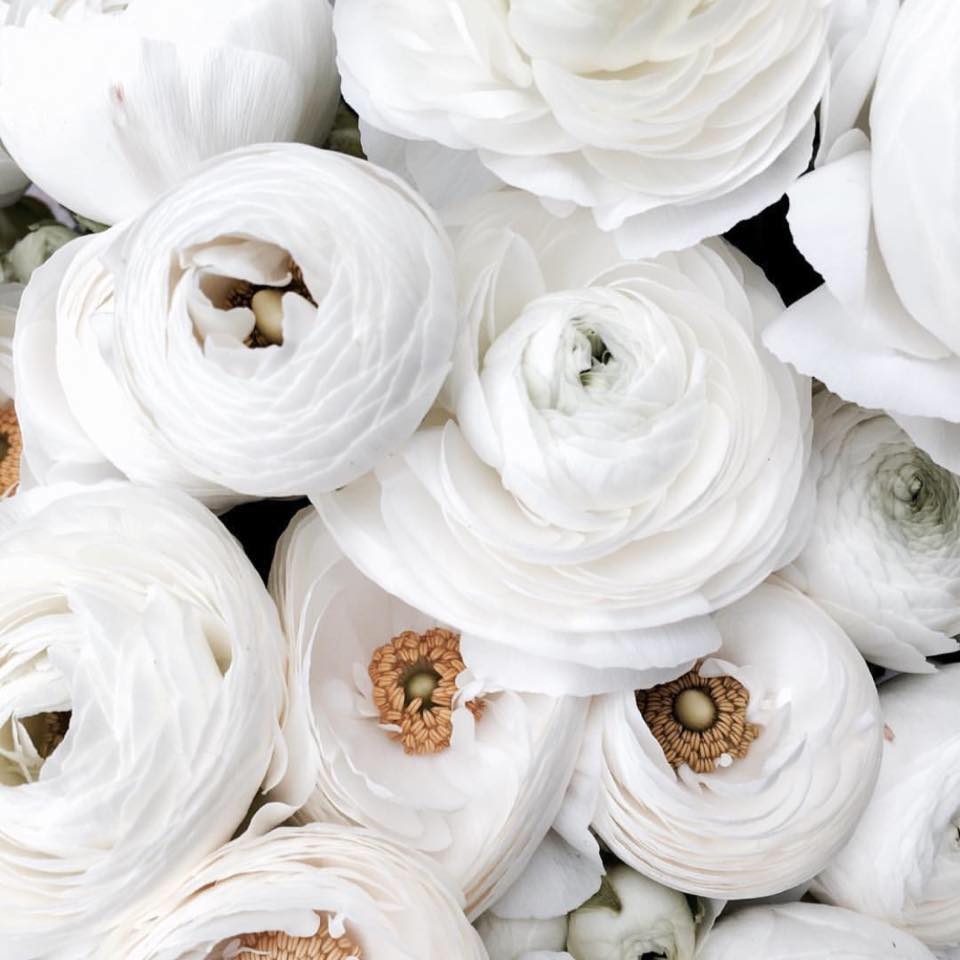This season’s colors, dressed for a wedding. #alianaevents #wedding # ...