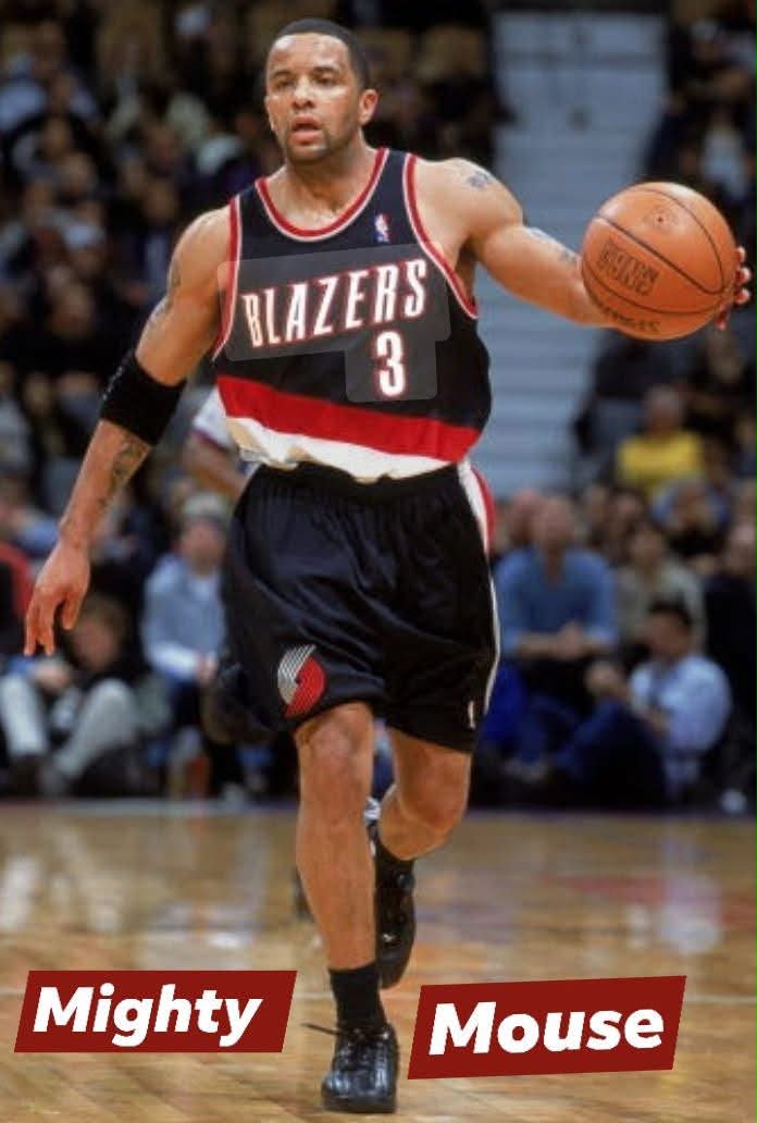 Damon Stoudamire's Arizona Wildcats career