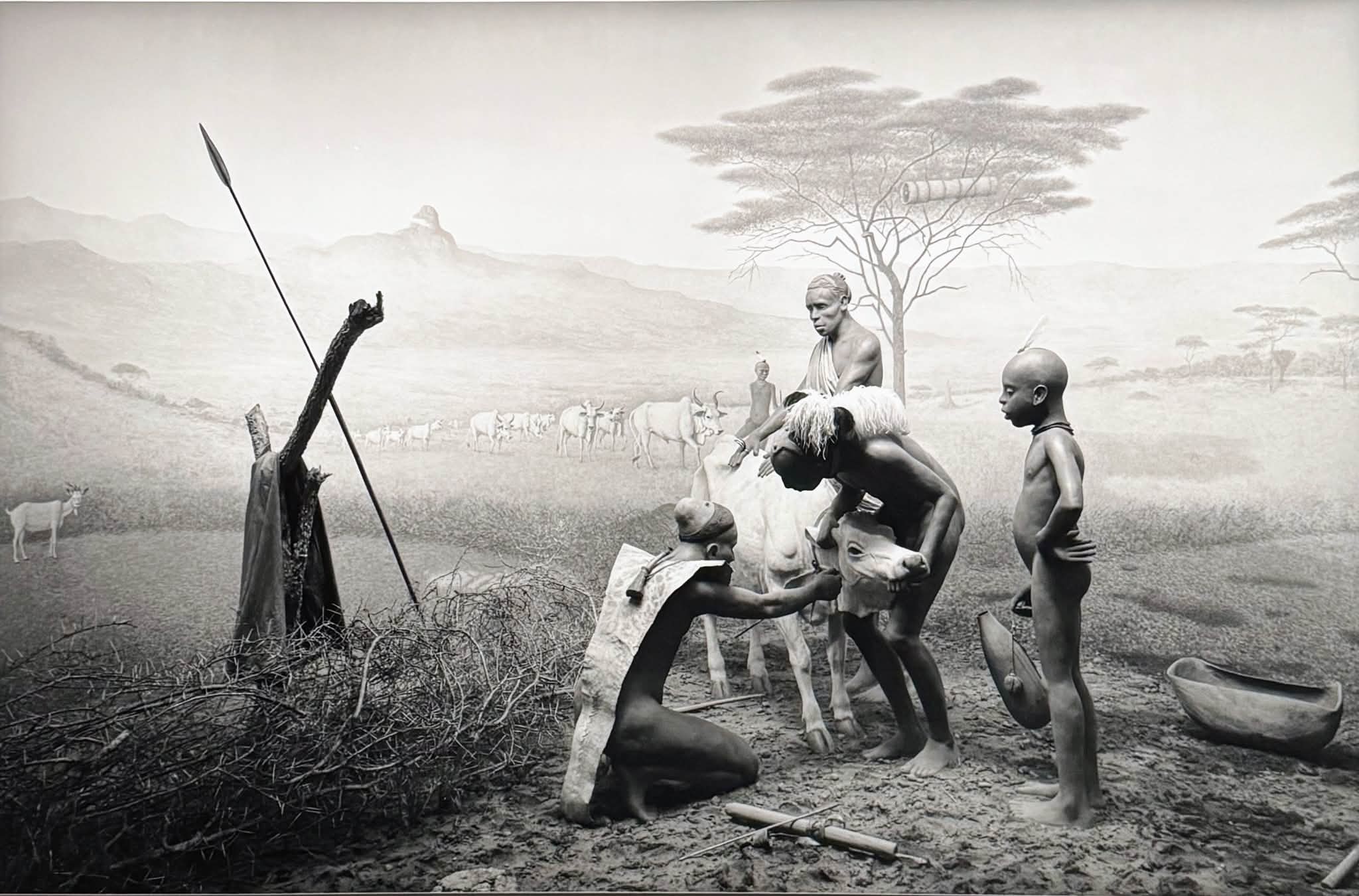 now showing -9/13 杉本博司 絶滅写真 Hiroshi Sugimoto: Extinction