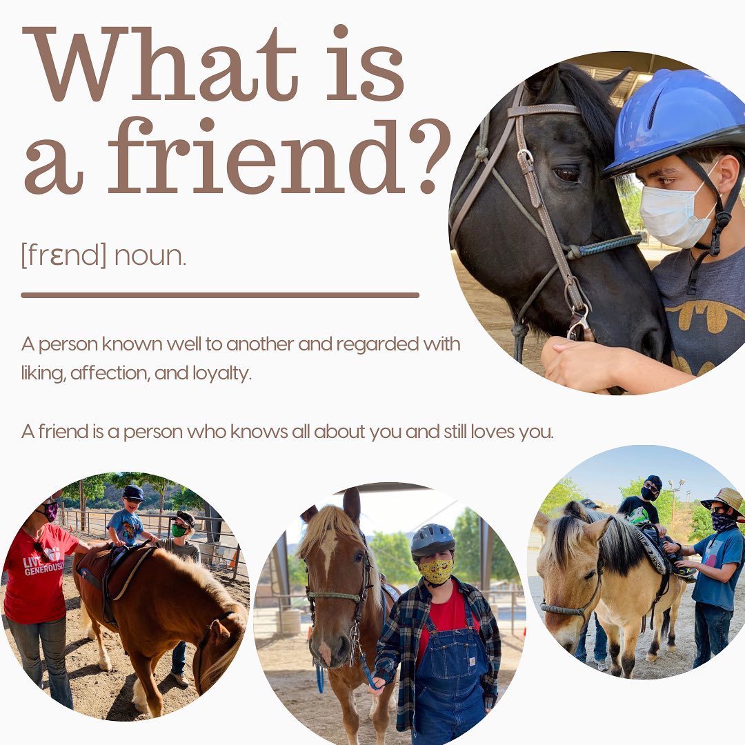 Carousel Ranch - What is a friend? 👧🏽🐴 Our equestrian...