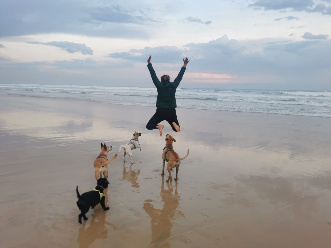 Great places to try in and... - Good Riddin's Beach Cottage