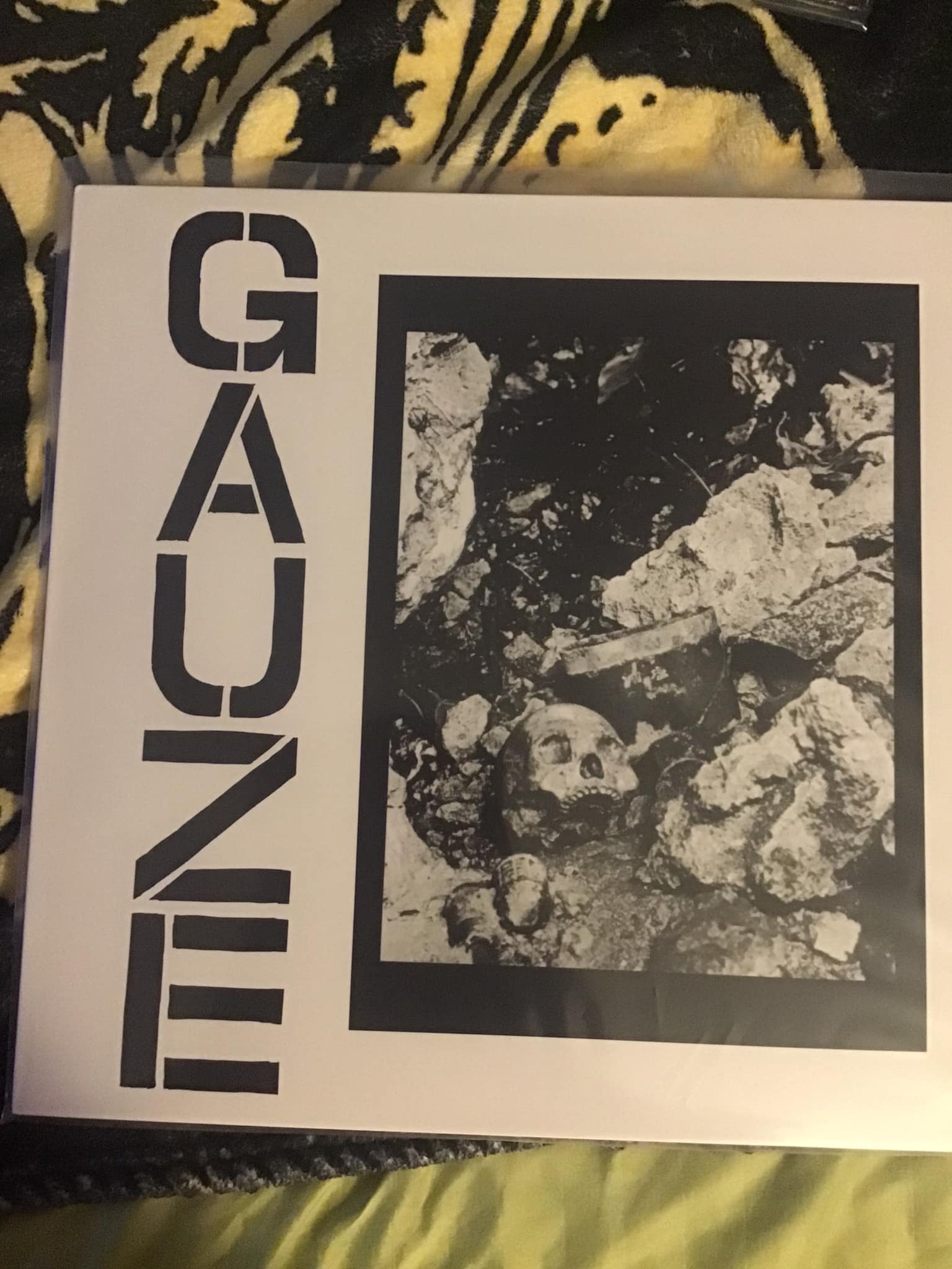 If I had known that G.I.S.M. stood for Gay, Individual, Social 