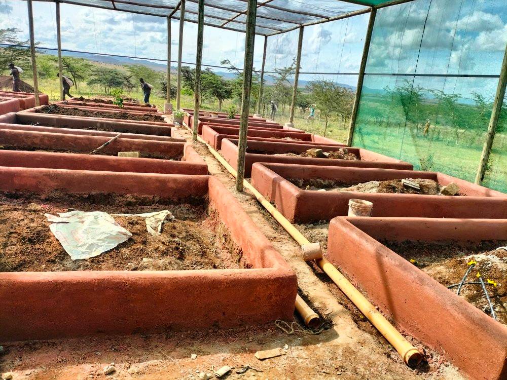 Mutunyi Permaculture and Organic Farming | Meru