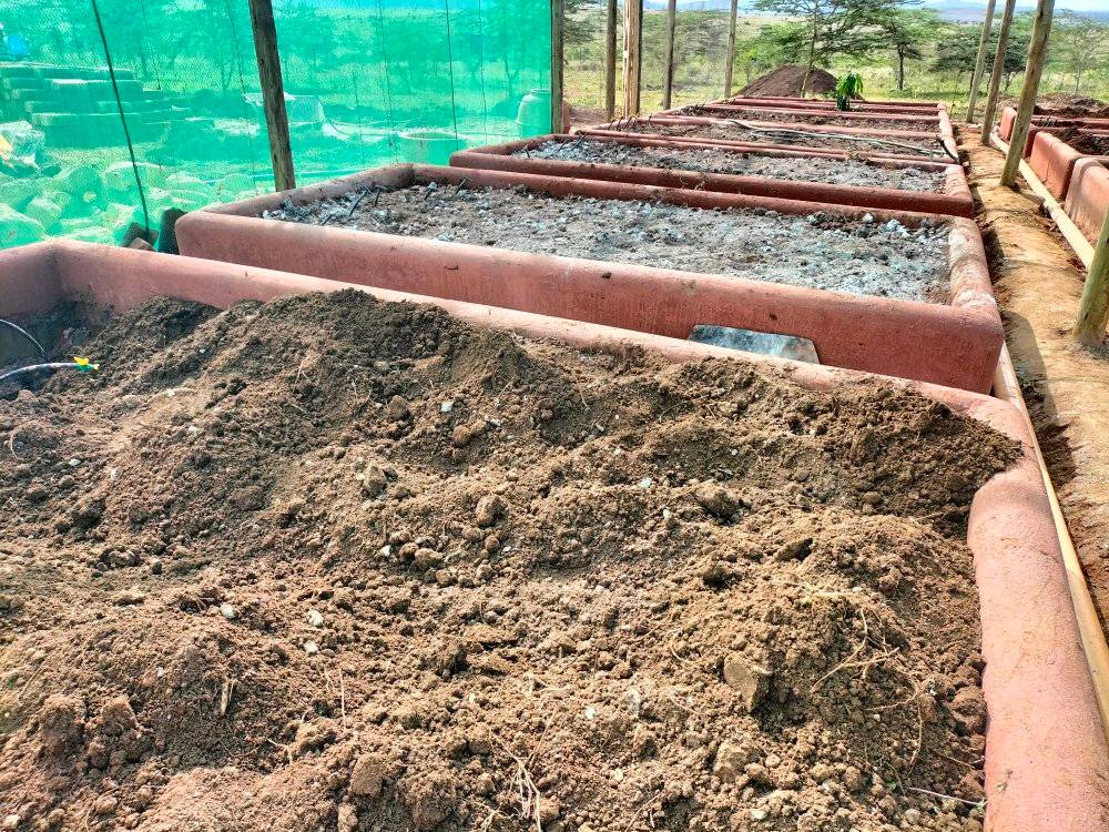 Mutunyi Permaculture and Organic Farming | Meru