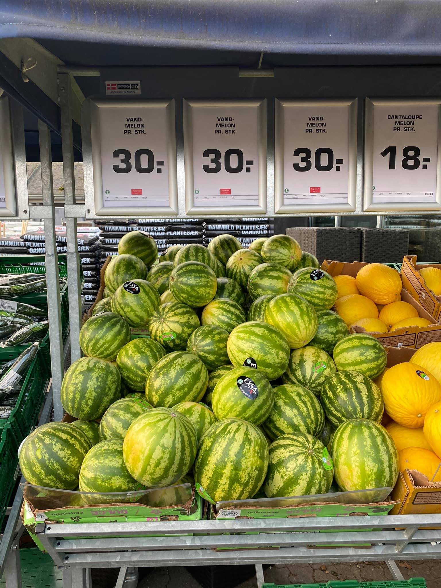 Årets første... - REMA 1000 Risskov - Smedegade 12