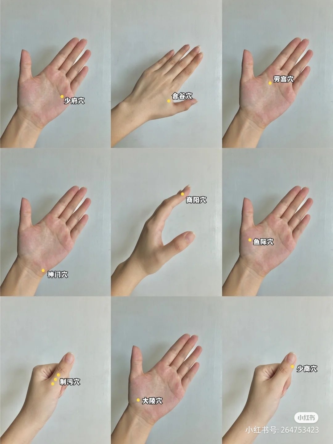 有空按一按手部穴位，坚持做，#痘痘、#便秘、#失眠、#宫寒... - Green Origin Laurell