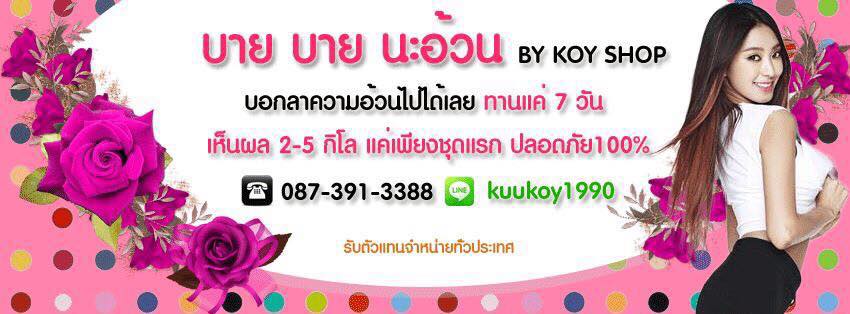 บาย บาย นะอ้วน By Koy Shop