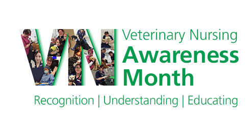 This month we're... - VMG - Veterinary Management Group | Facebook