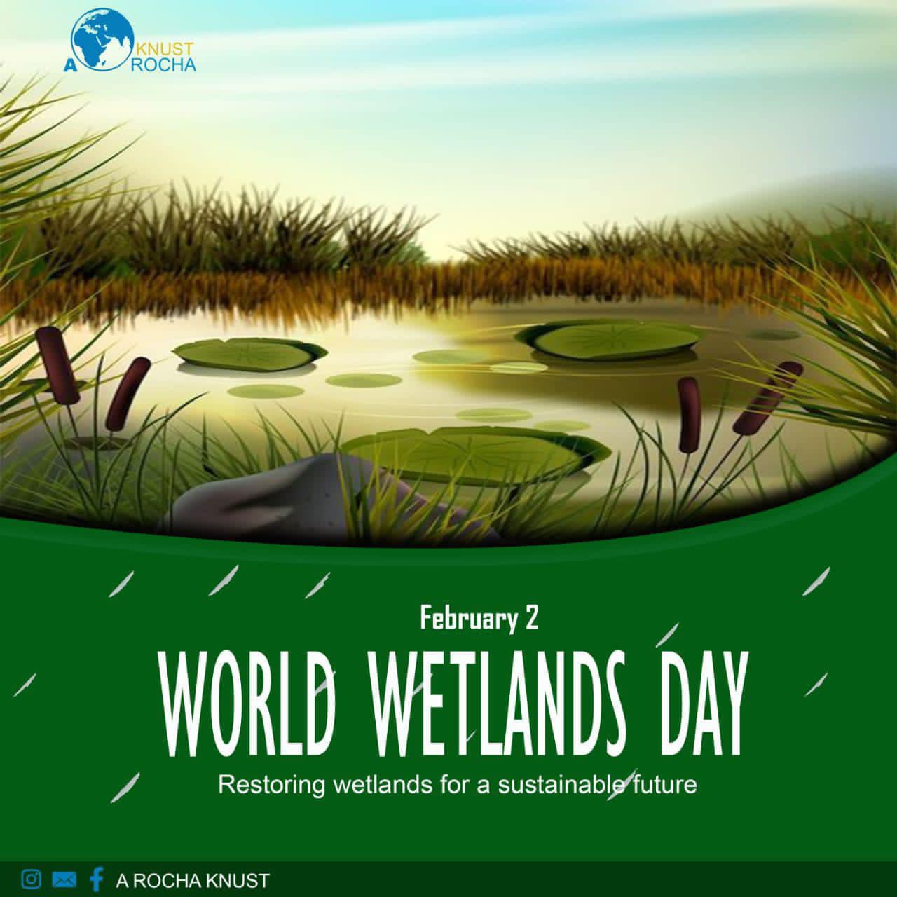 A ROCHA - 🌳🐘 A ROCHA - KNUST🐘🌳 WORLD WETLANDS DAY 2024 Greetings to all ...