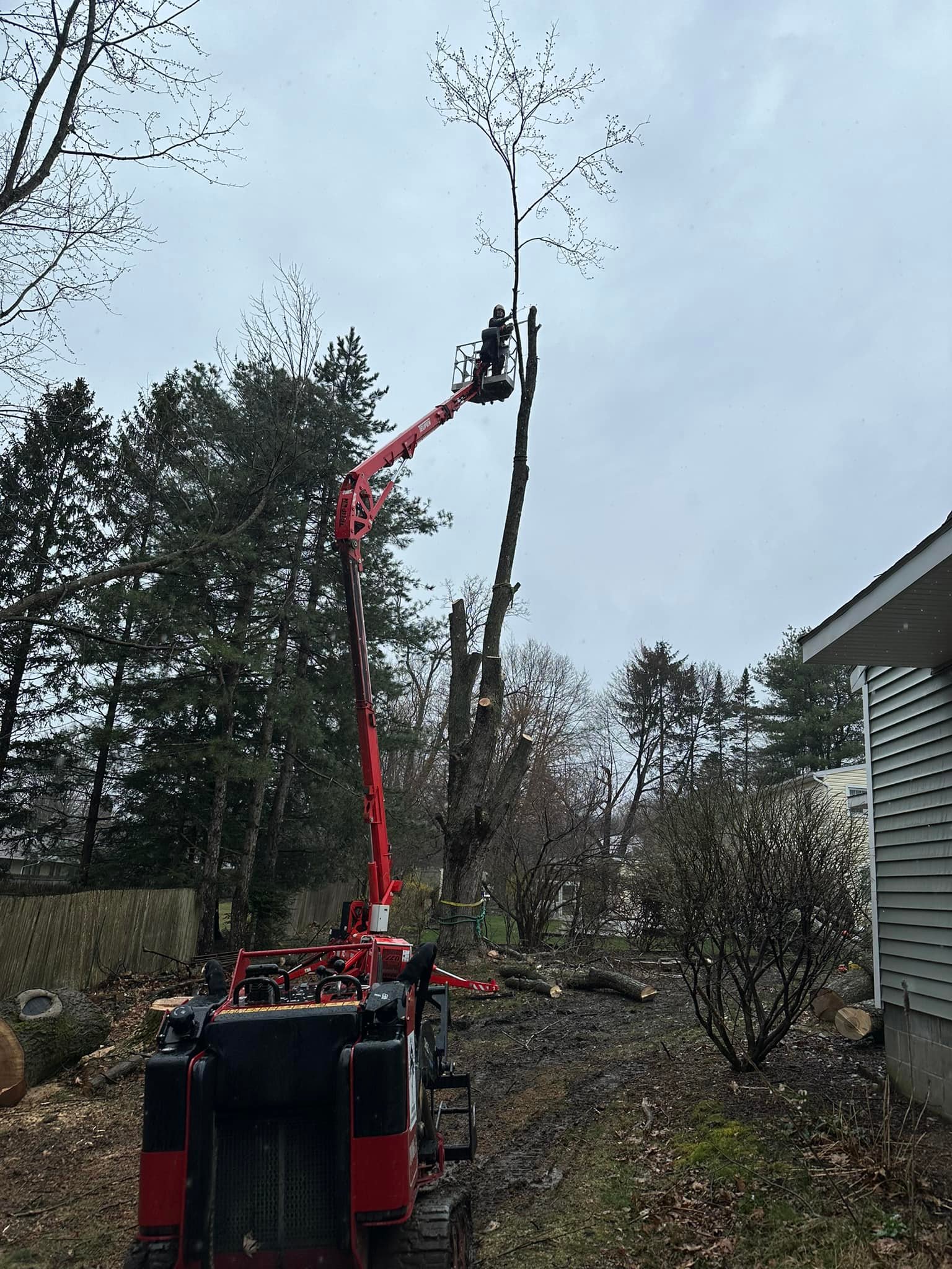 Ballston Tree & Property Services | Ballston Spa NY