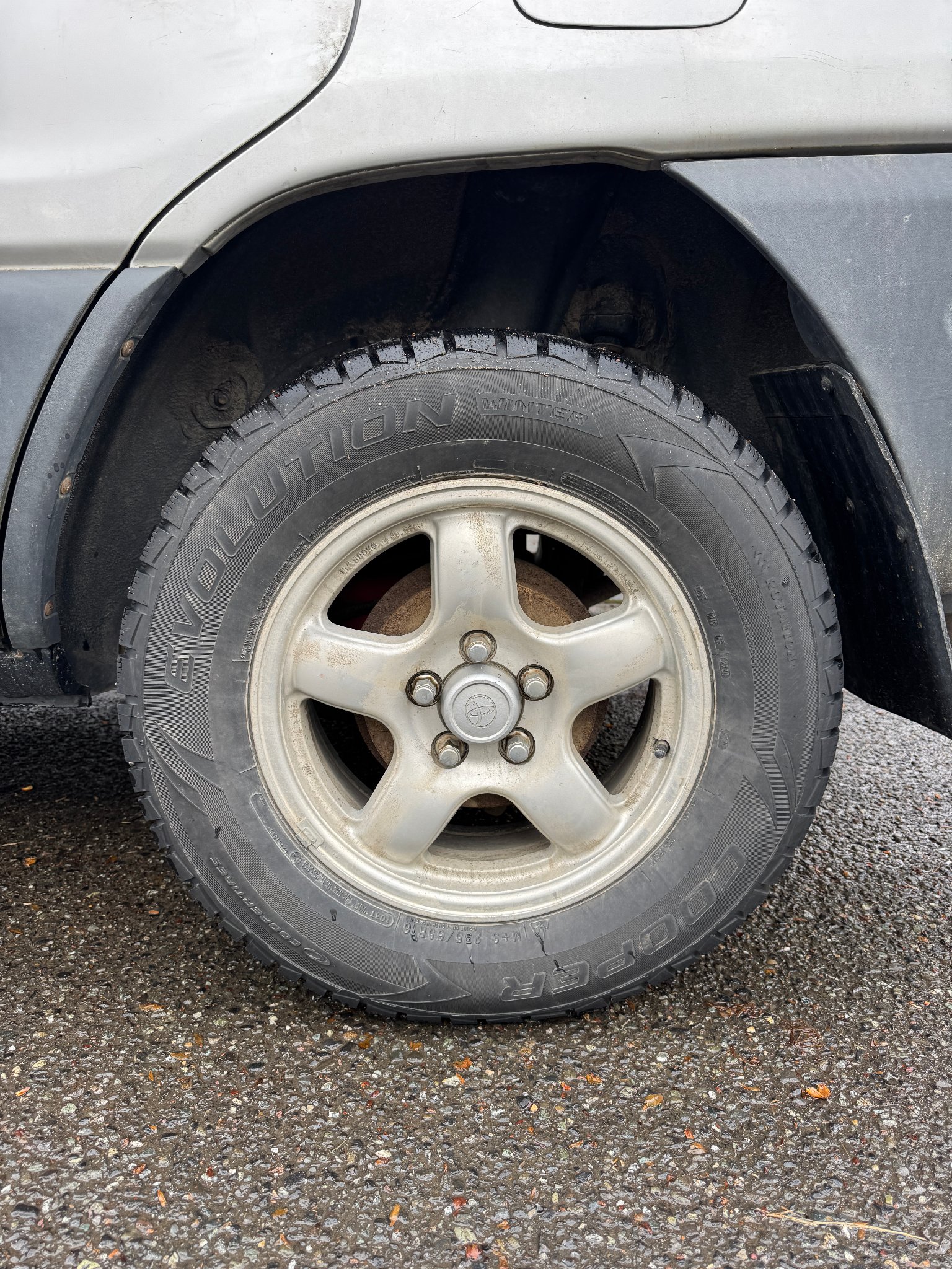 Cooper Evolution Winter studded snow tires on RAV4 wheels - Car Wheels ...