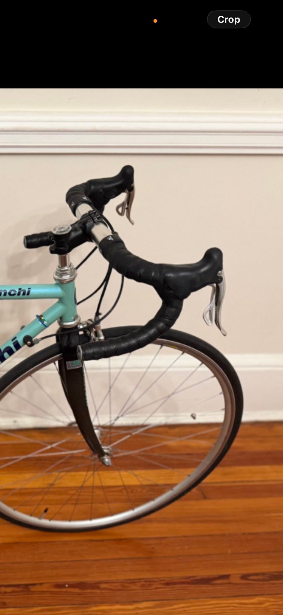 Are these carbon forks stock on a 1998 Bianchi Veloce?