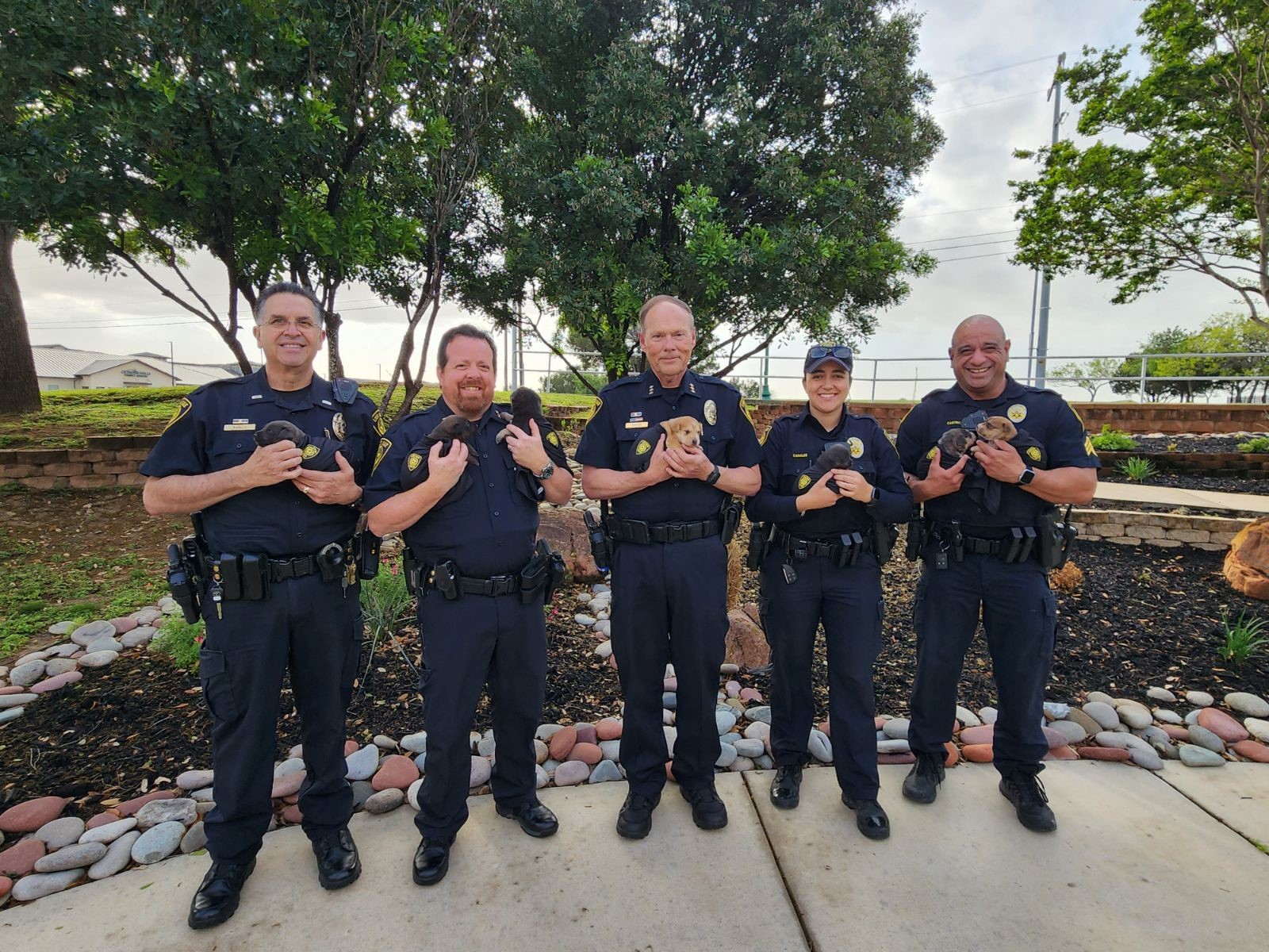 Live - 📢Big Announcement📢 🐾🚔👮 In effort to promote a more PAWSITIVE ...