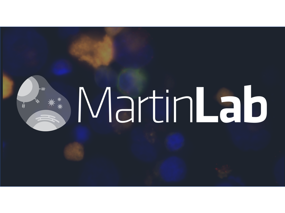 MartinLab