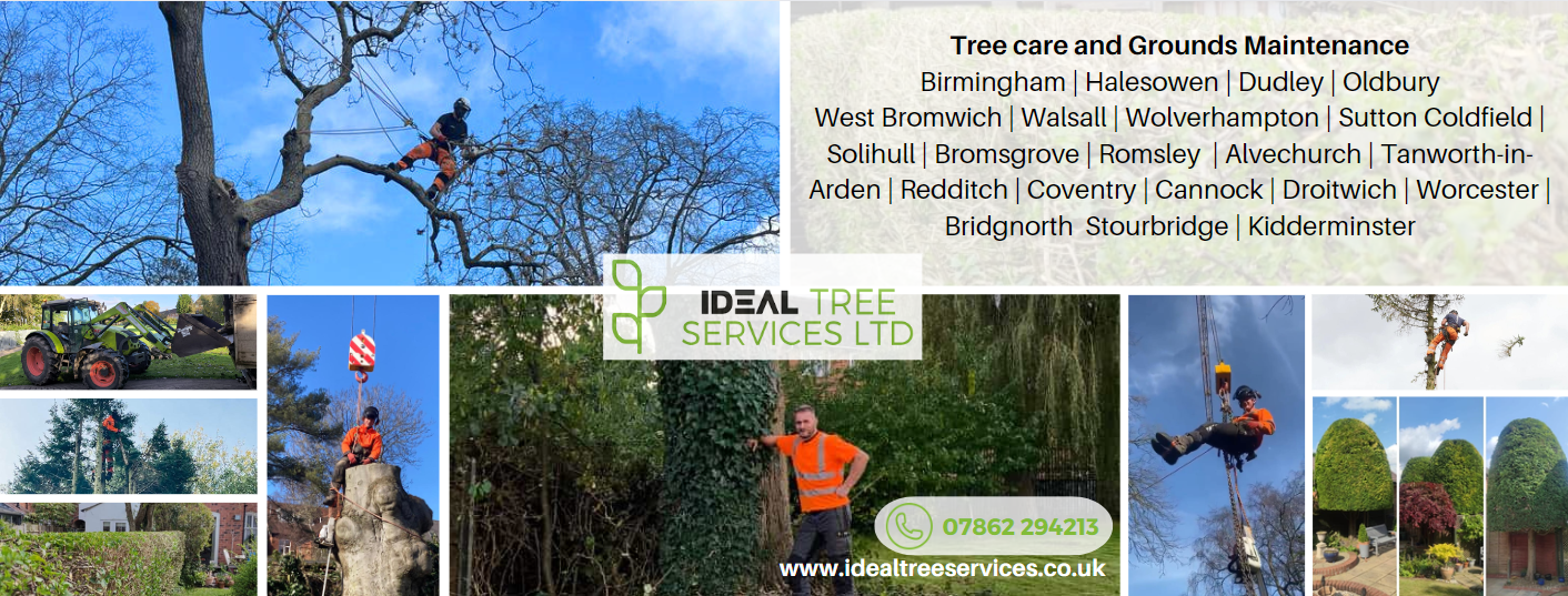 Ideal Tree Services | Halesowen