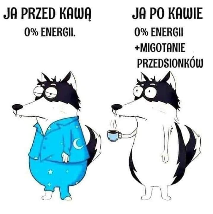 Marek Piotrowski