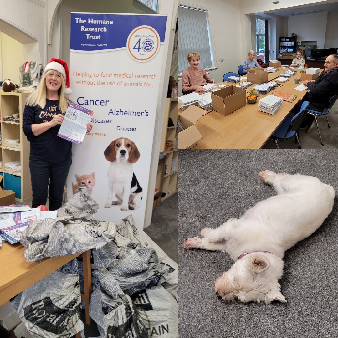 Us elves at the Trust have... - The Humane Research Trust | Facebook