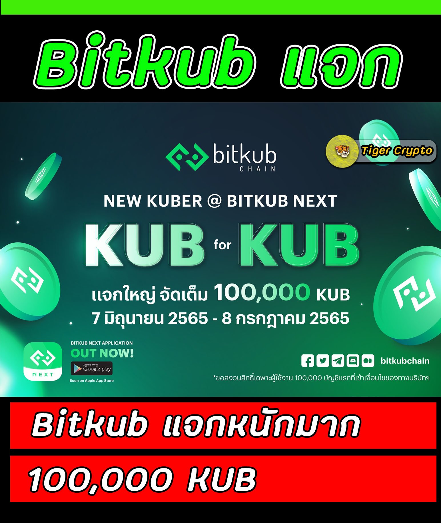 Tiger Crypto - 💚 New KUBER @ Bitkub NEXT แจกใหญ่ จัดเต็ม...