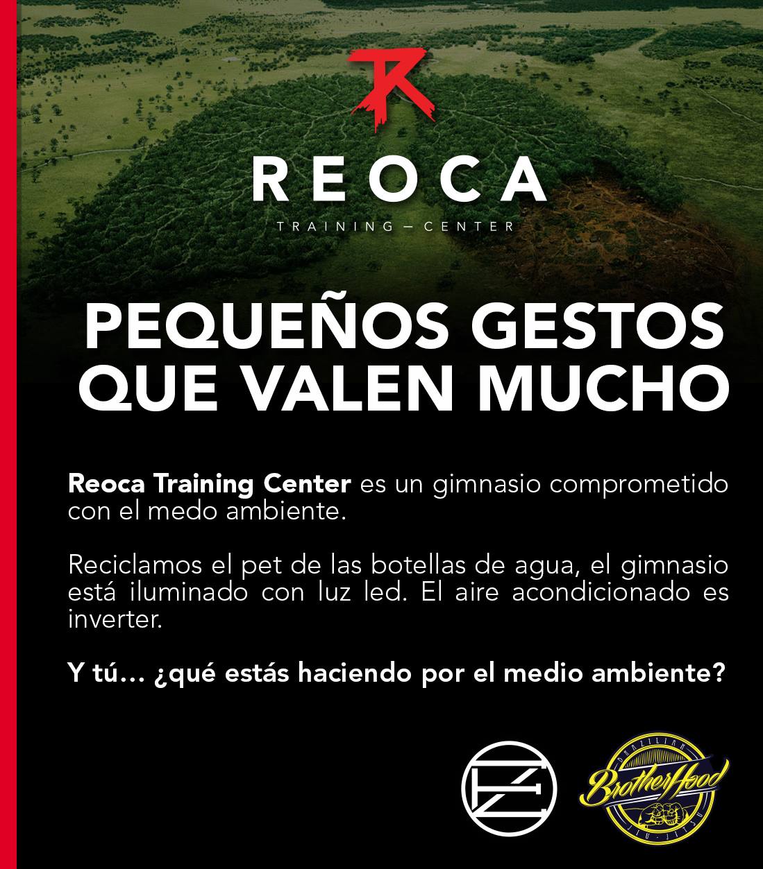HOY 5 DE JUNIO DÍA MUNDIAL DEL... - Reoca Training Center