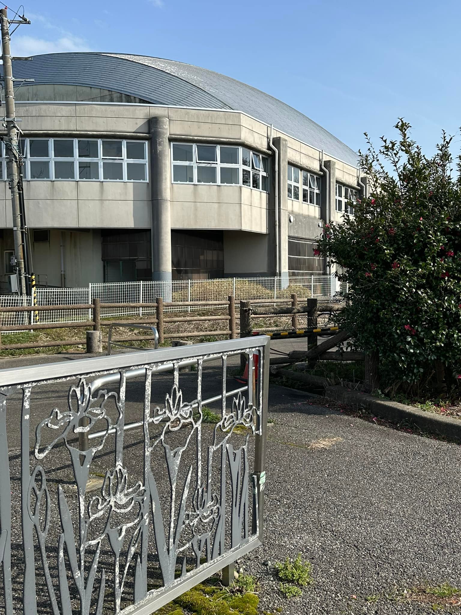 公の場での発言・インタビュー報道記録