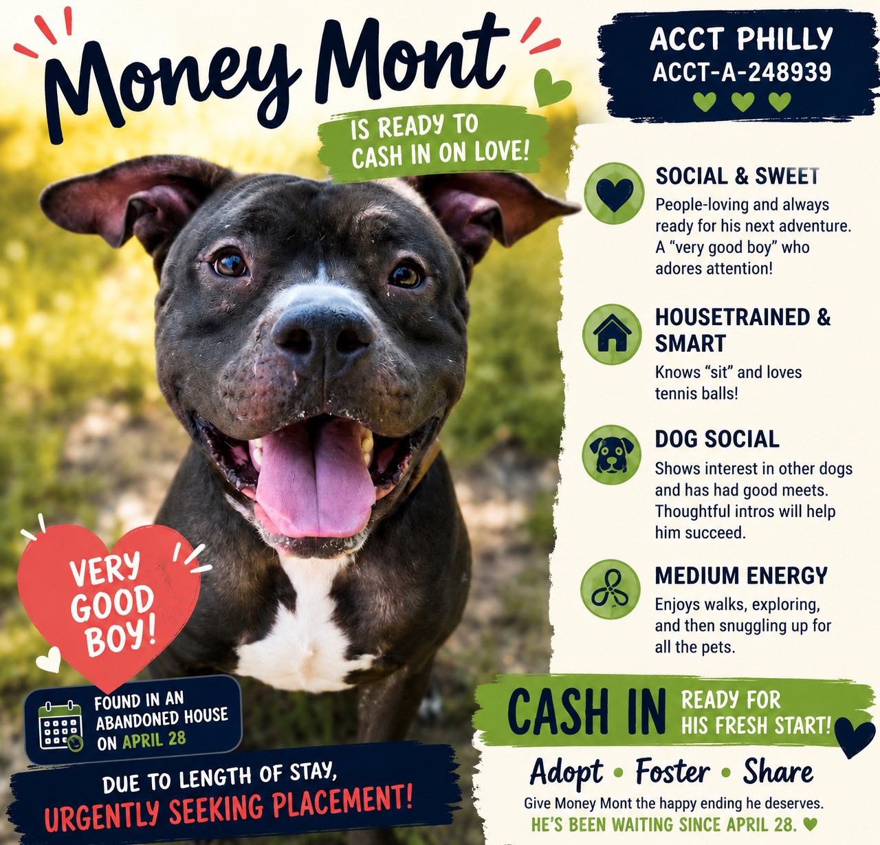 Animal adoption in Philadelphia, PA
