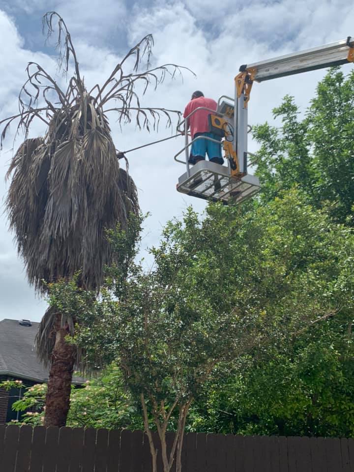 Cutty's Fence and Tree Maintenance | New Braunfels TX