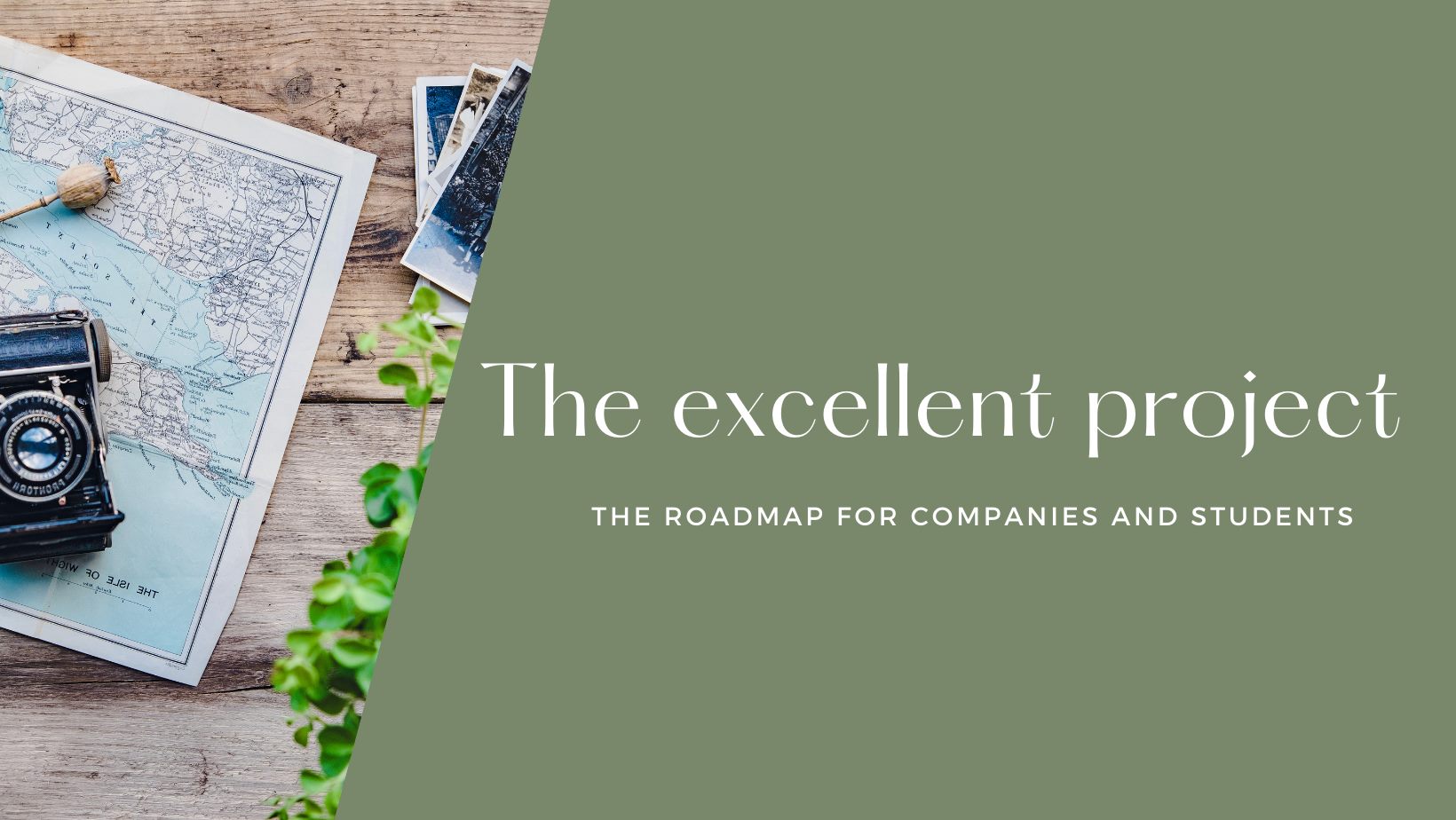 The Excellent Project