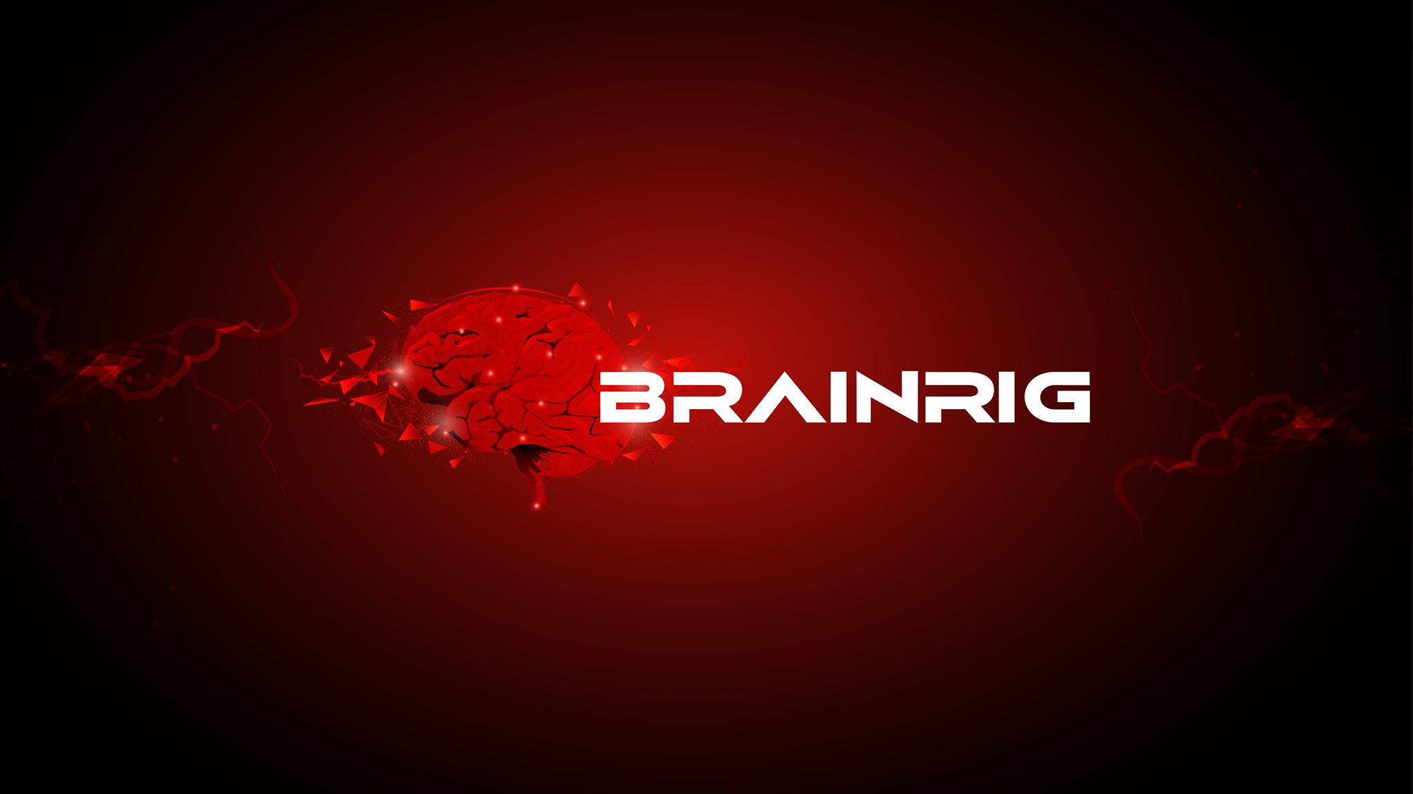 BrainRig