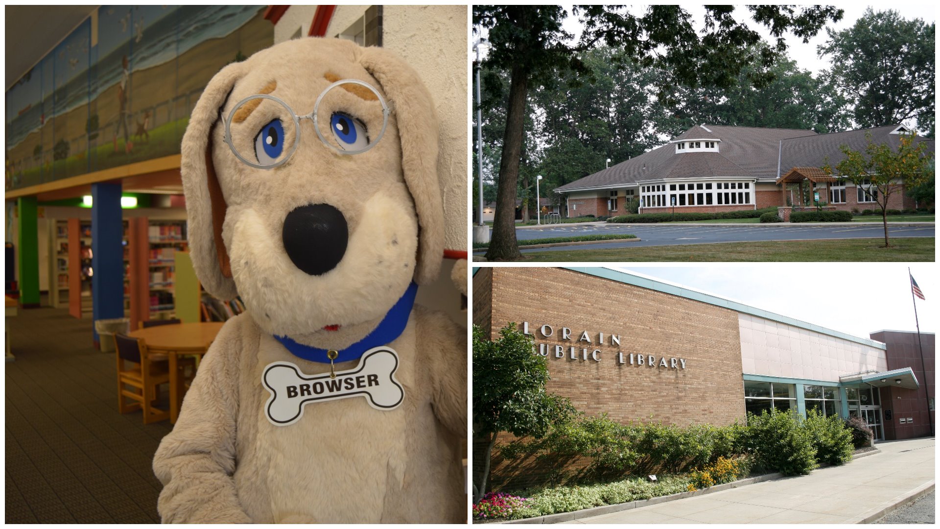 Lorain Library Levy