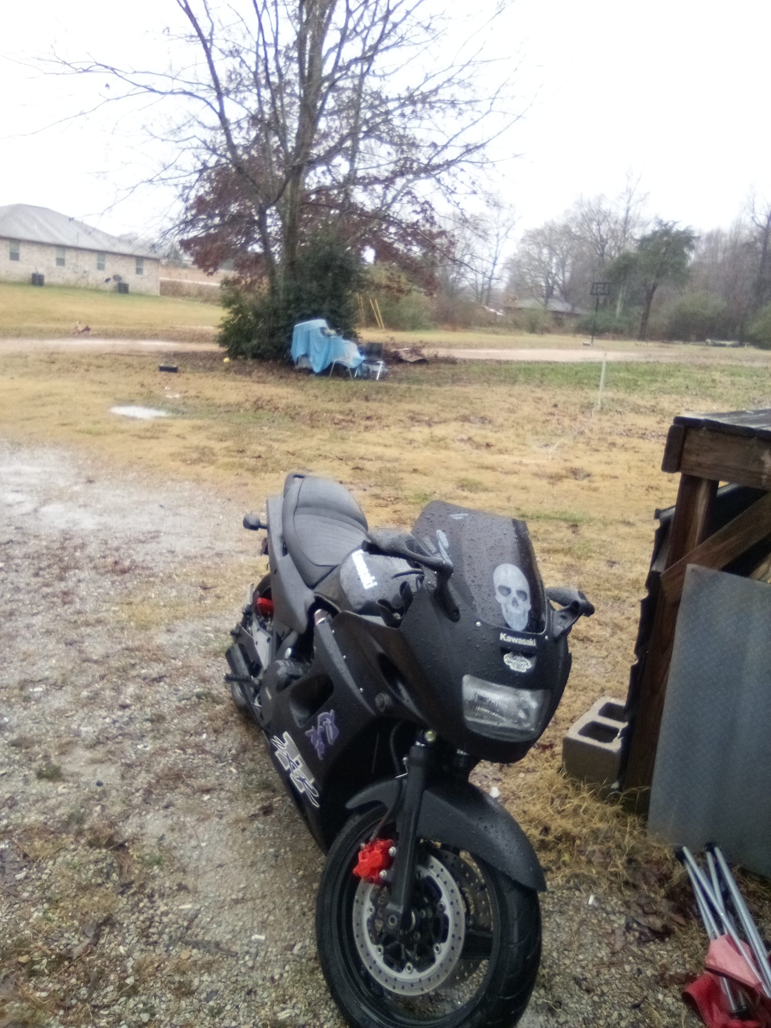 1996 zx11 with low mileage
