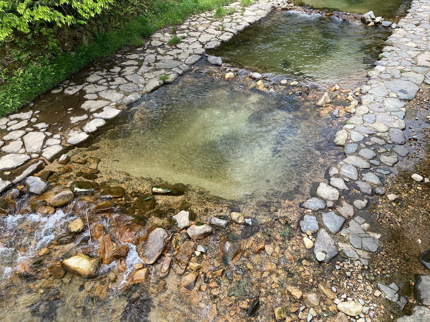 右手 養魚 センター