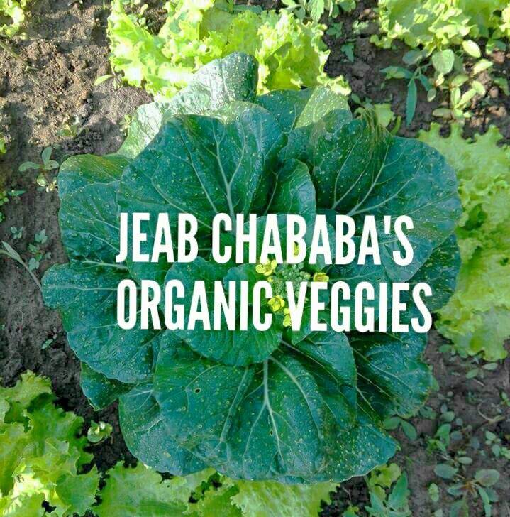 ลิ้นจี่ออกดอก... - Jeab Chababa 's Organic Veggies